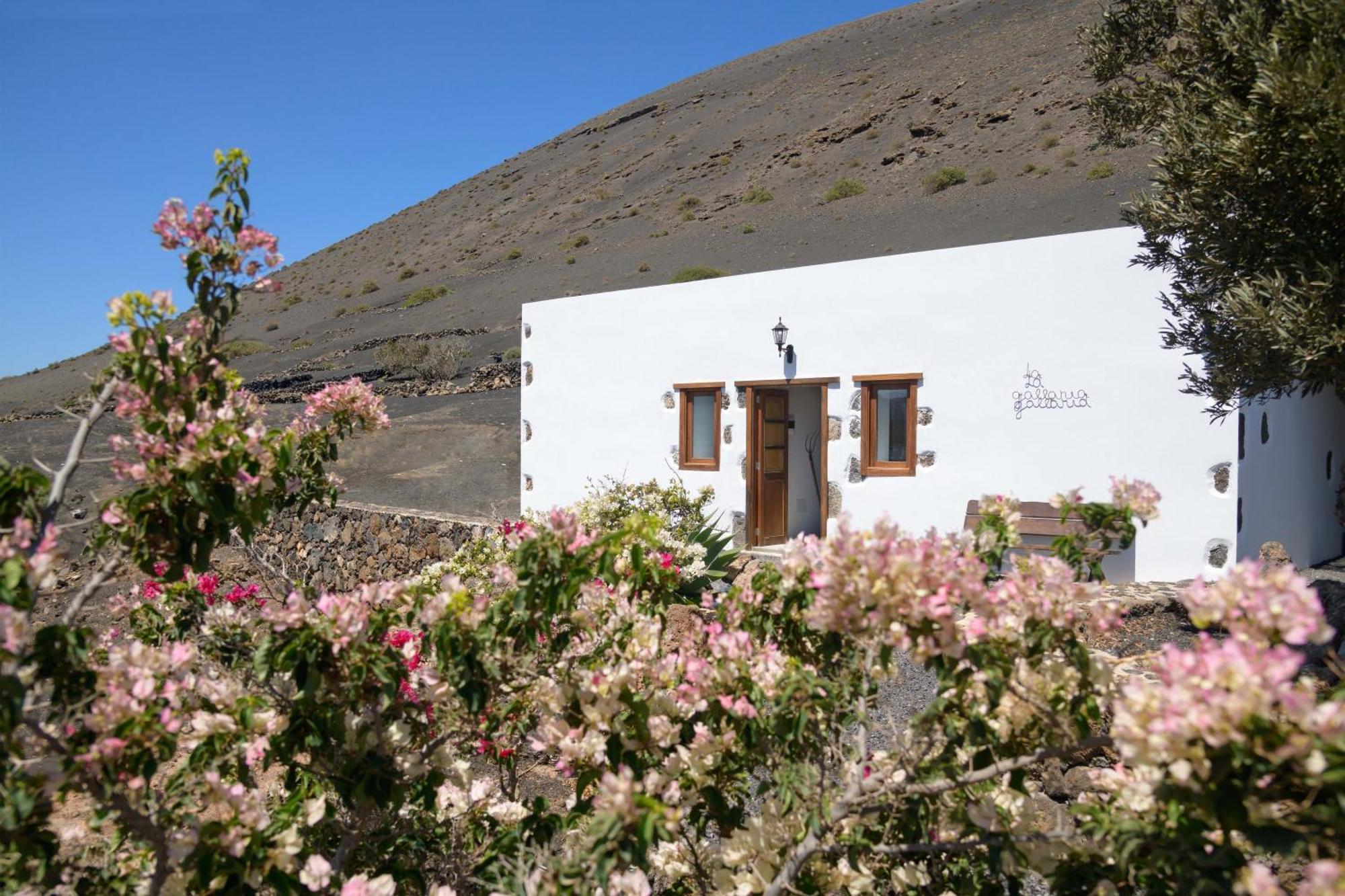 Villa Finca De La Geria Yaiza  Exterior foto